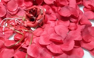 Лепестки роз  (Красные)  FL001